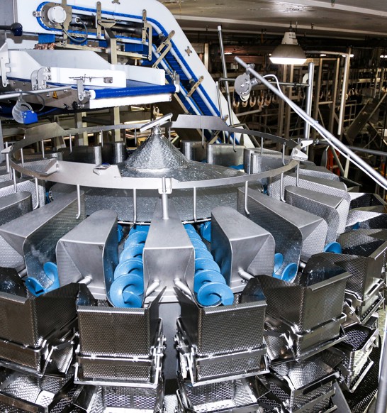 Multihead Weigher MHW Large