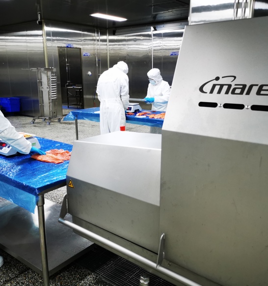 Tianyun Builds New Brand Trout Fresh With Marel Automation