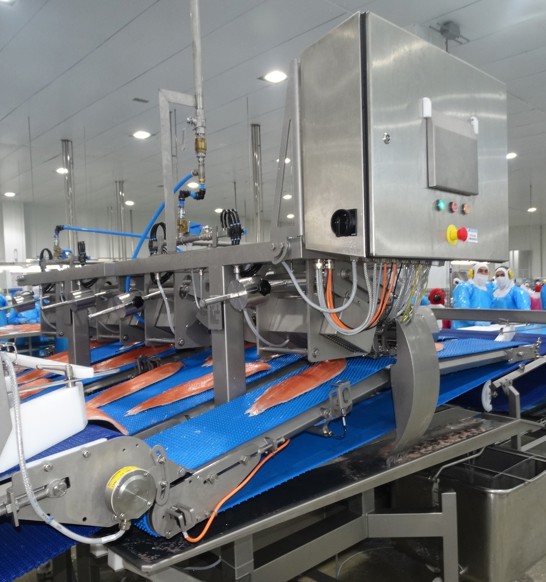 Camanchaca Fish Processing