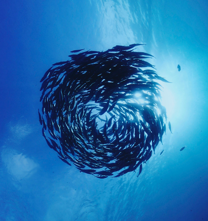 Capital Markets Day - Digitalization