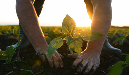 Pioneering Tailored Sustainability Solutions at JBT Corporation