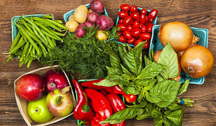 A Safer & More Sustainable Choice for Produce Washing: Prevenio's Antimicrobial Solutions