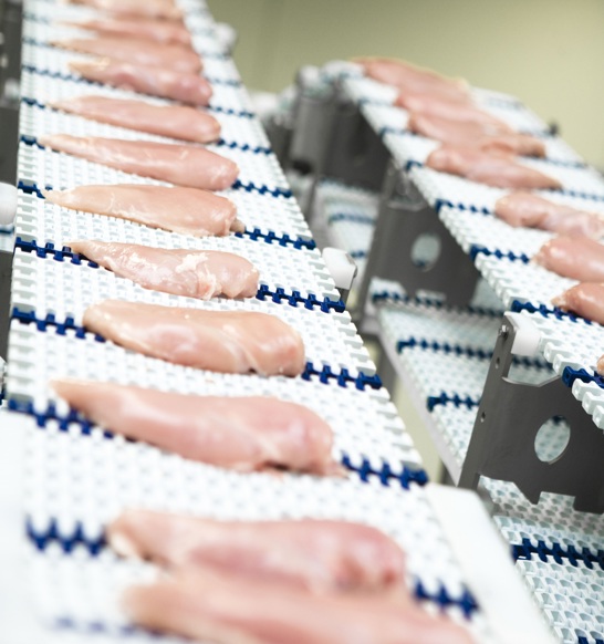 Superior X-ray inspection for bone and foreign material detection