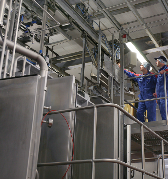 Meat Processing Plant Service