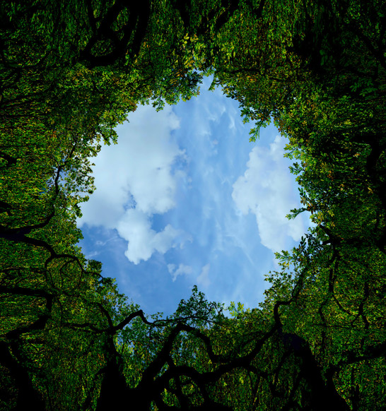 Capital Markets Day - Sustainability