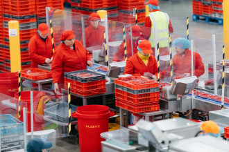 Berry Gardens: tray-sealing in action
