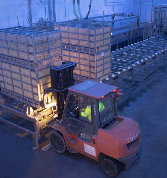 Atlas Lairage To Destacker