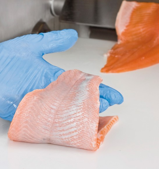 MAJA salmon trout skinning