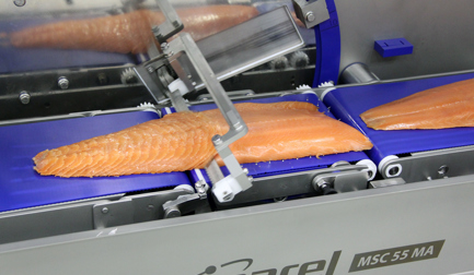 Introducing our new slicer MSC 55 MA