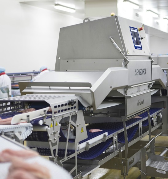 Sensorx Poultry Inline Bone Detection