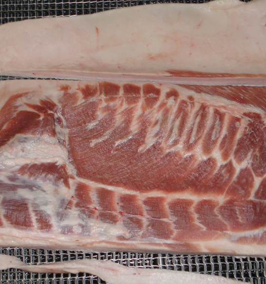 DSI_waterjet_porkbelly_portioning-3805899912-1665073043975