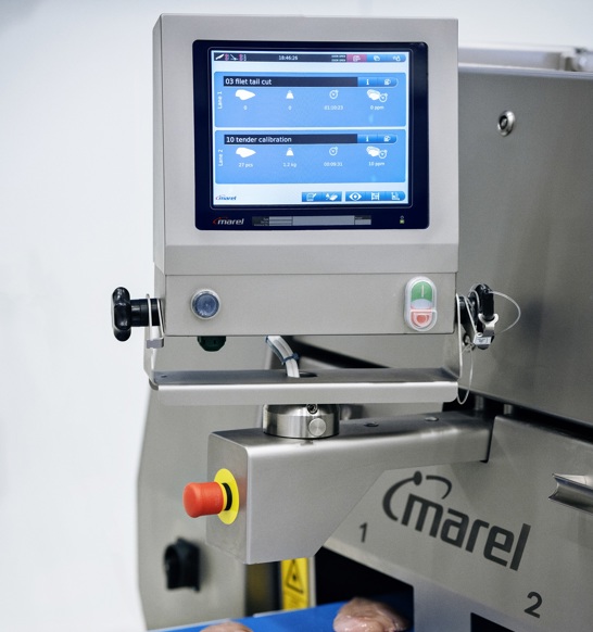 I Cut 122 Trimsort Infeed