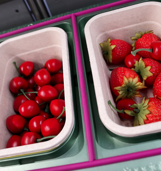 Earthcycle-punnet-in-Proseal-machine_small