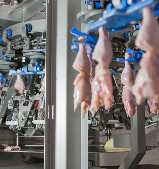 Poultry processing products and solutions