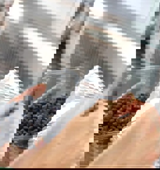 2021-02-22-Proseal-Tray-Sealing-Solutions-Soft-Fruit-Blueberries-03