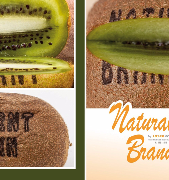 burnt-skin-or-nb-e1548089486977