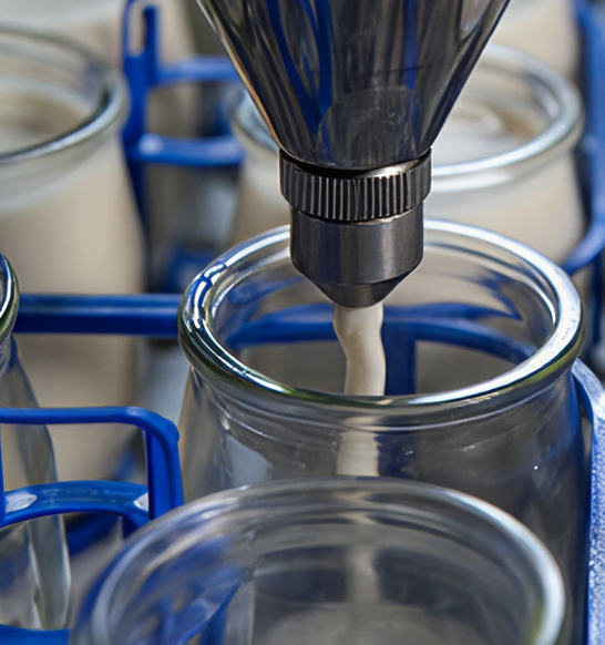 Video Hero Test Image