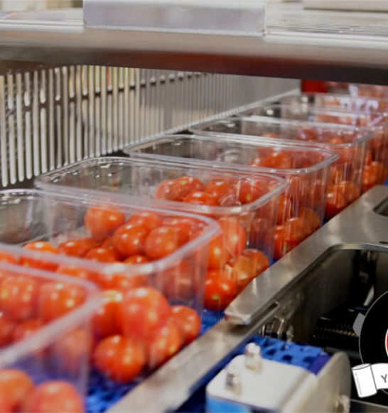 2023-02-01-25th-press-images-06-e1682524014480