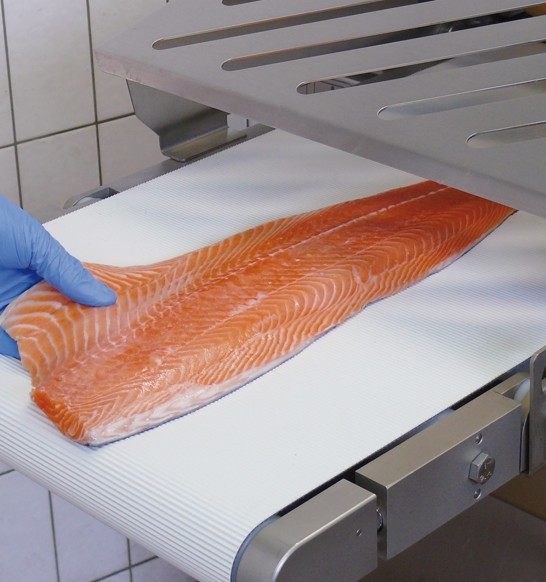 MAJA ESB 4434 2P Salmon