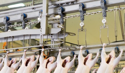 Поточная станция взвешивания