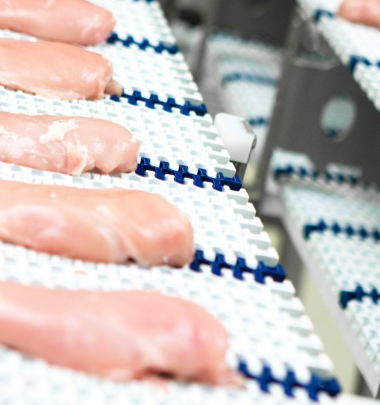 Poultry Processing Marel