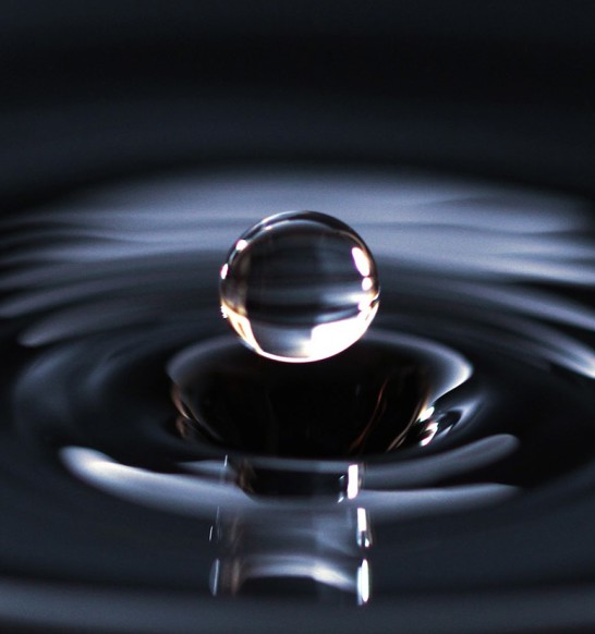 Marel takes care of the Environment