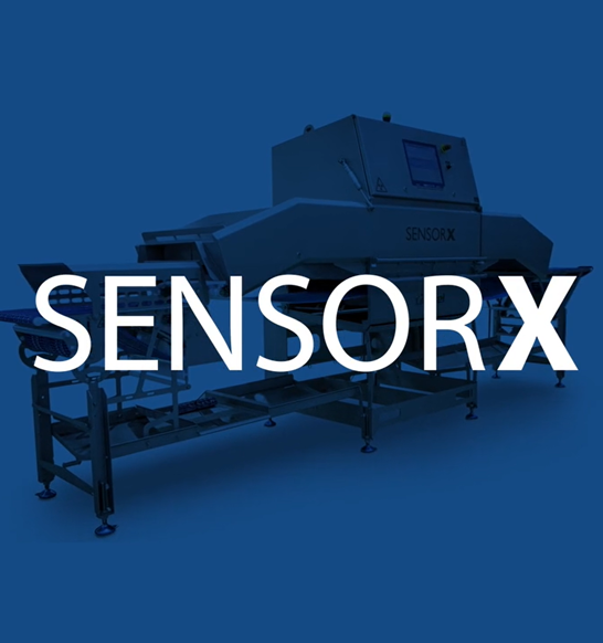 Marel SensorX Video