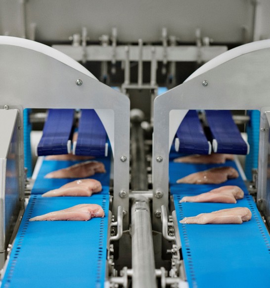 I Cut 122 Trimsort 2Lanes