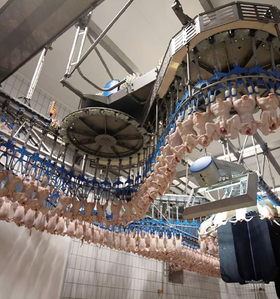 Smartweigher IRIS Italy