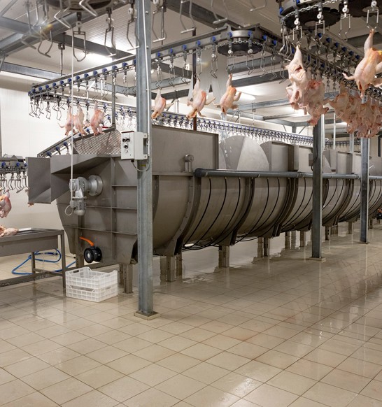 Poultry Screw Chiller